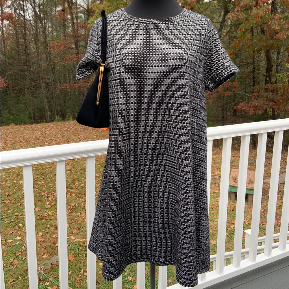 Zara Trafaluc Large A-Line Dress
